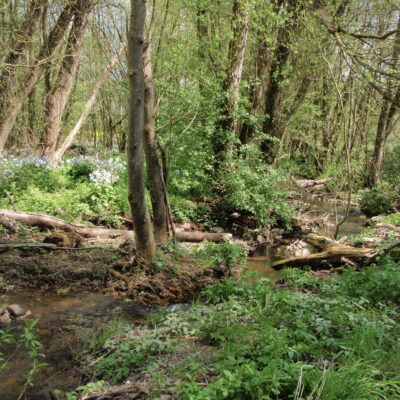 Gräfenbach-Amazonas © Kreisverwaltung Bad Kreuznach